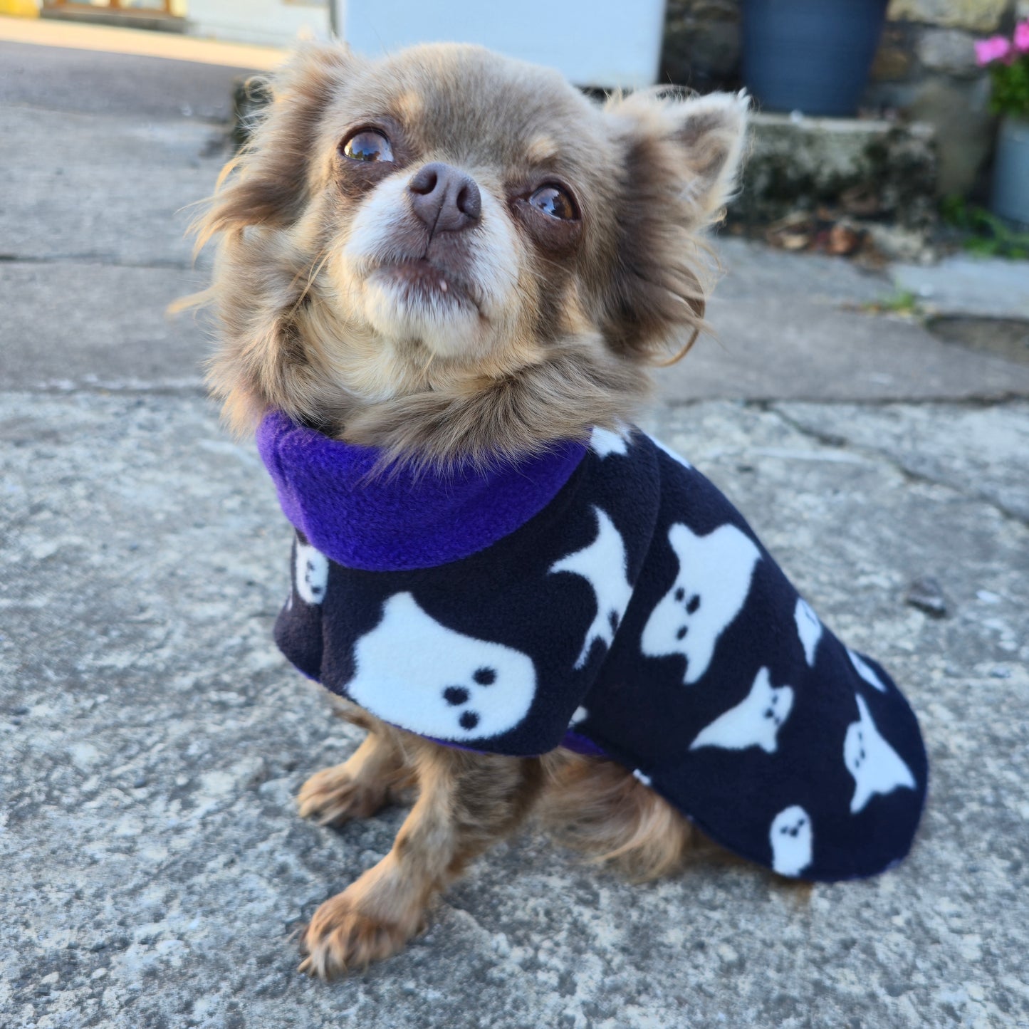 Waterproof Fleece Dog Coat DOUBLE Thickness Halloween Ghost Print Design