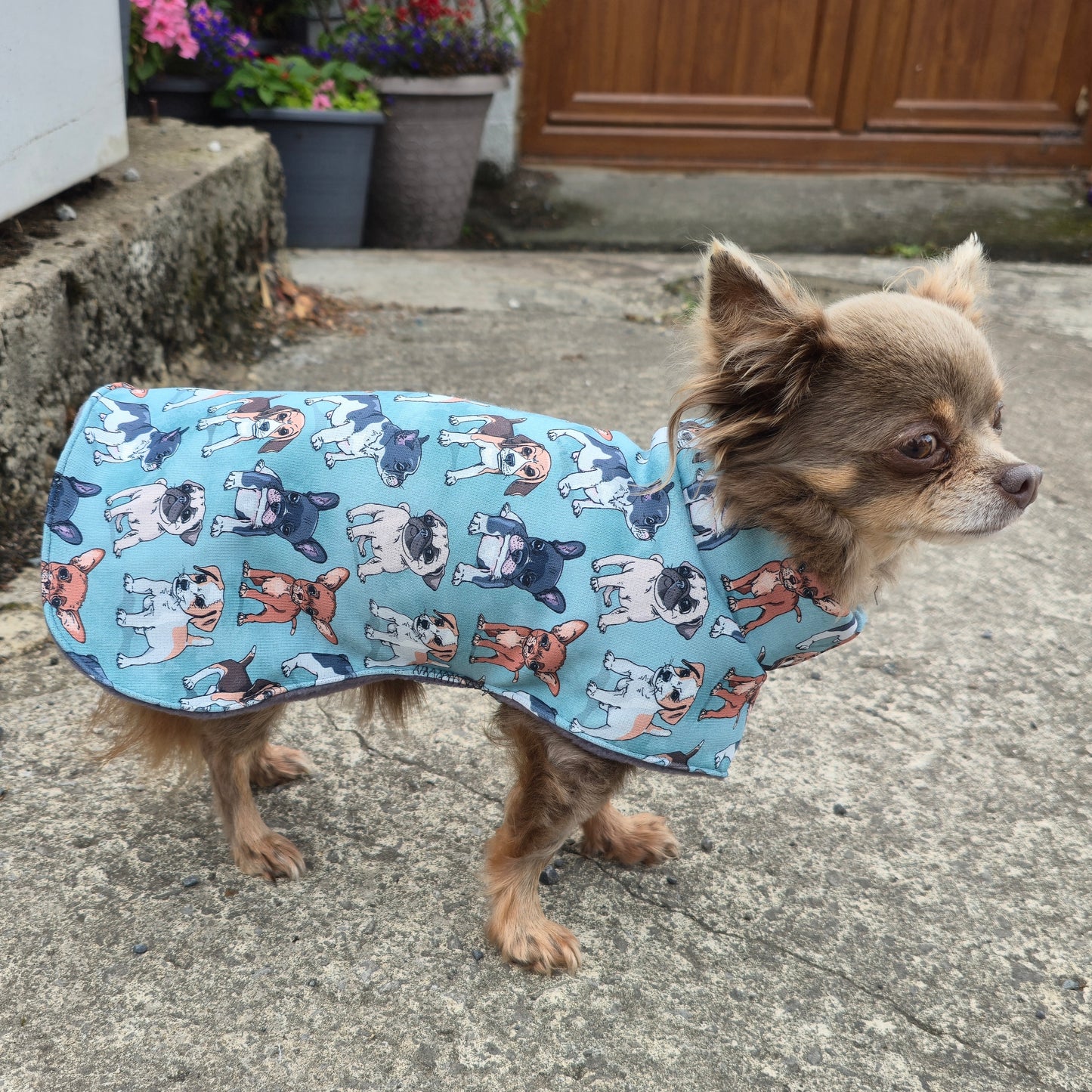 Waterproof Sofshell & Fleece Dog Coat DOUBLE Thickness Cute Puppy Print Design