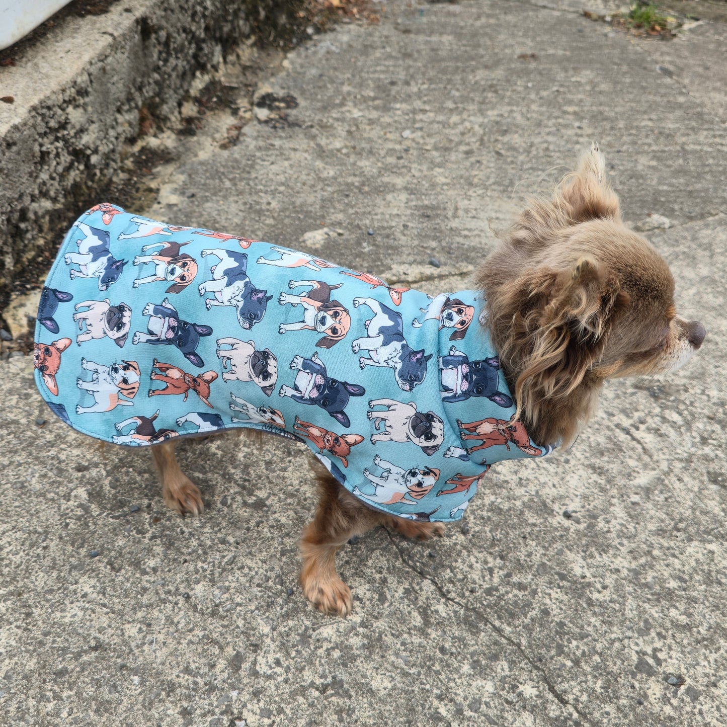 Waterproof Sofshell & Fleece Dog Coat DOUBLE Thickness Cute Puppy Print Design