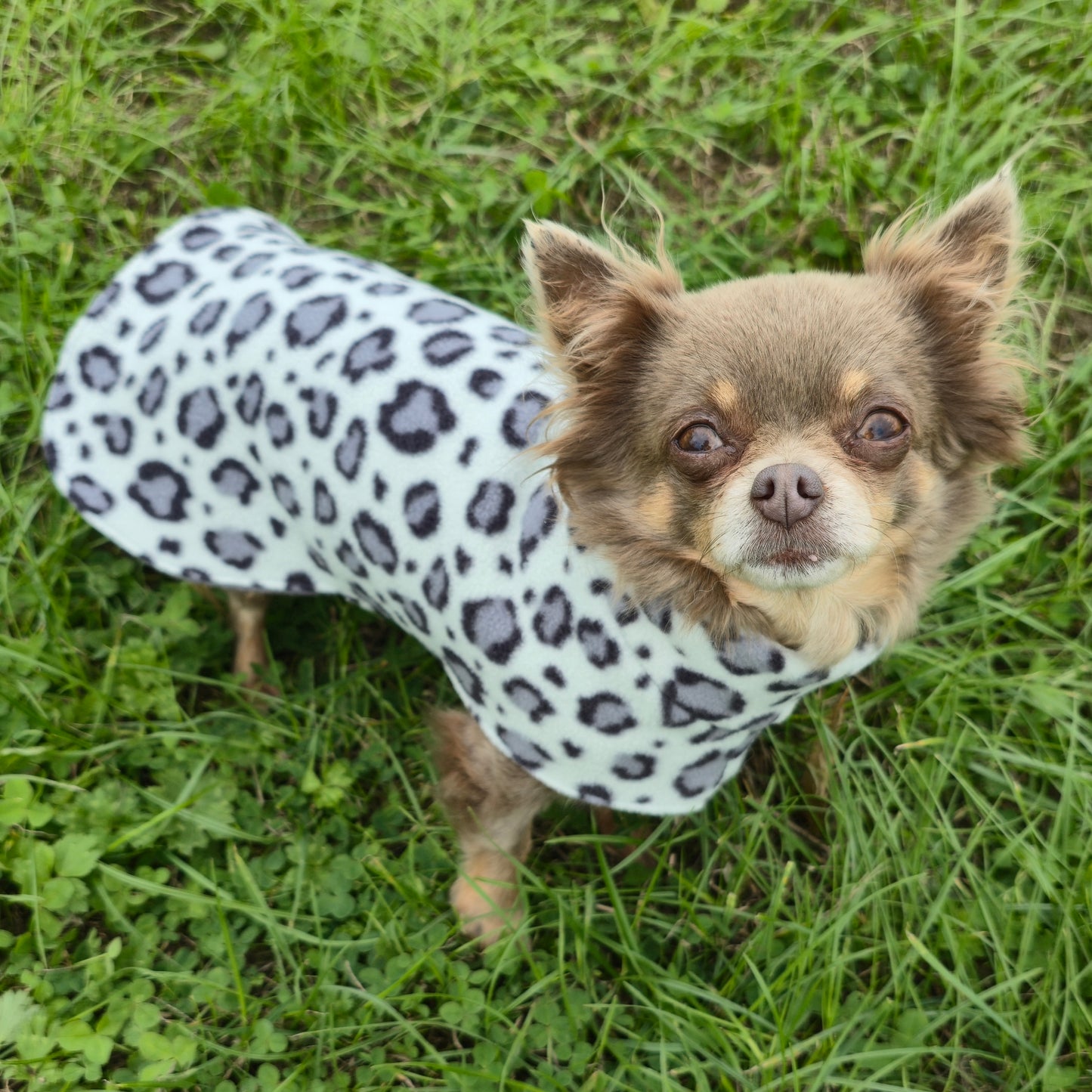 Waterproof Fleece Dog Coat DOUBLE Thickness Snow Leopard Print Design