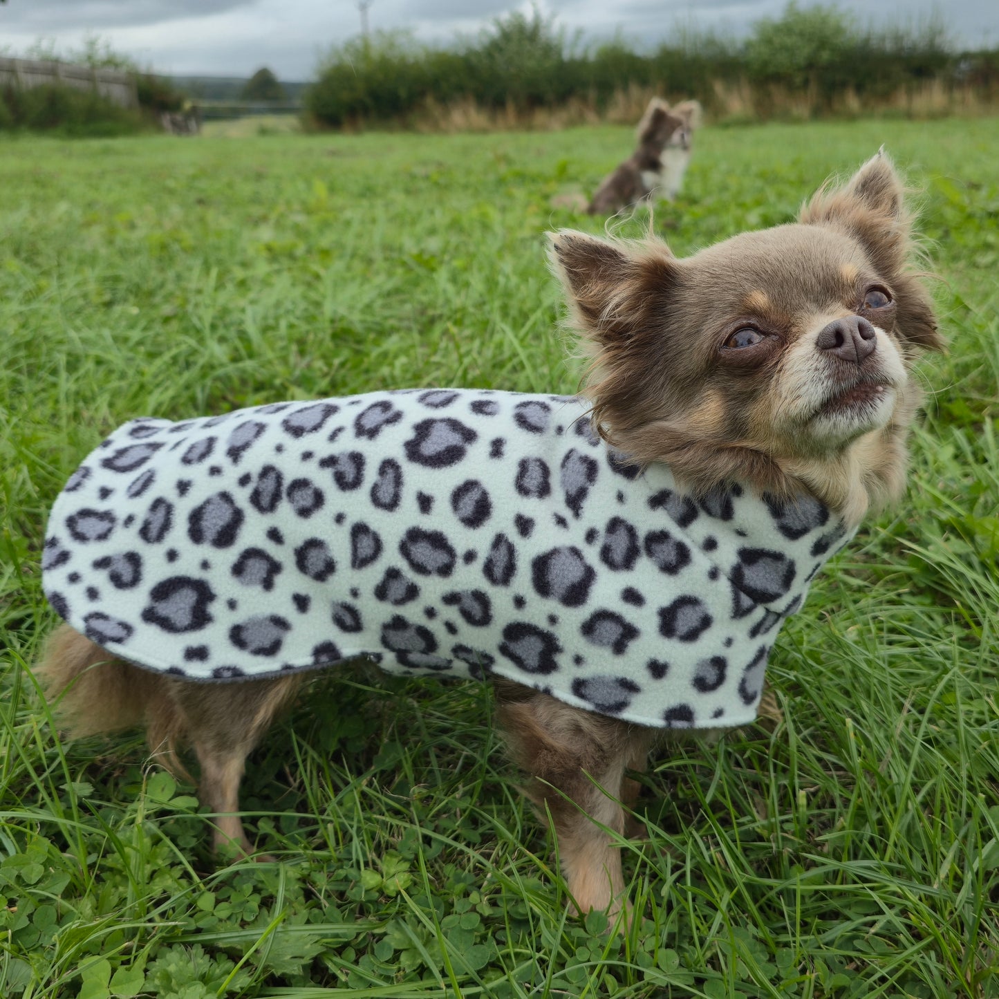 Waterproof Fleece Dog Coat DOUBLE Thickness Snow Leopard Print Design