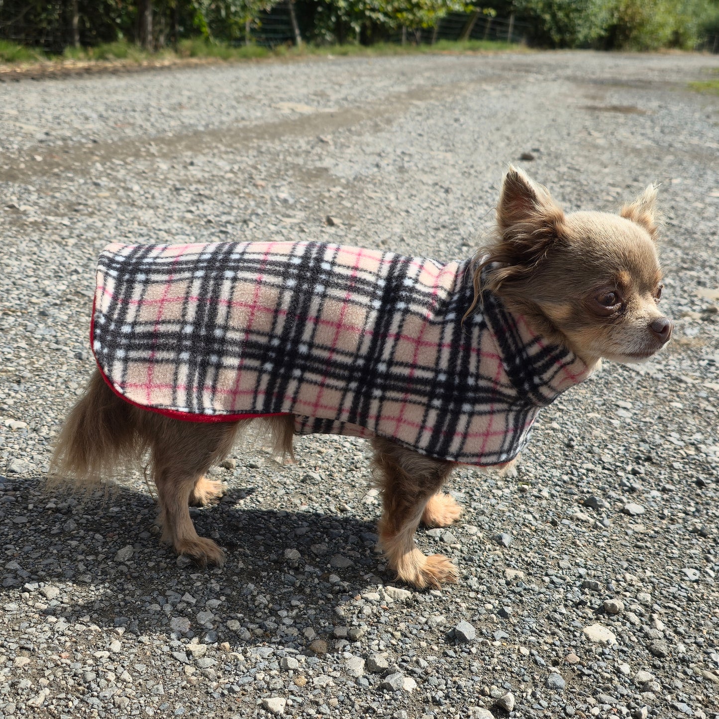 Waterproof Fleece Dog Coat DOUBLE Thickness Beige Tartan Print Design