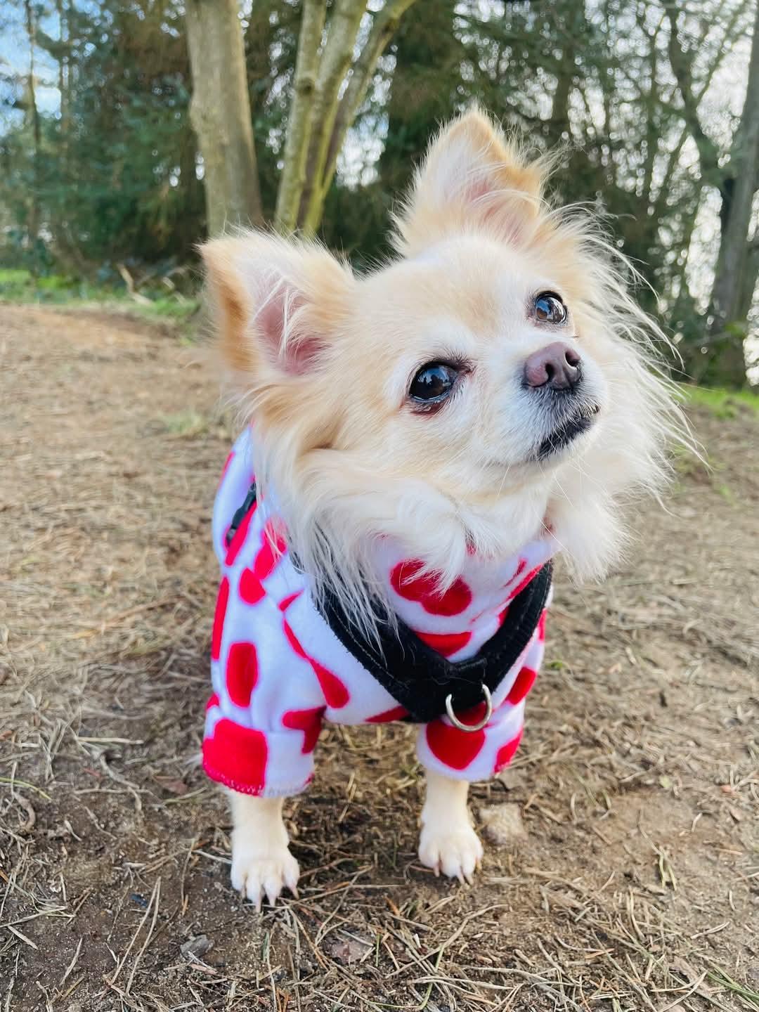 Waterproof Fleece Suit in Heart Print Design Also Available as a Jumper Tankie or Coat