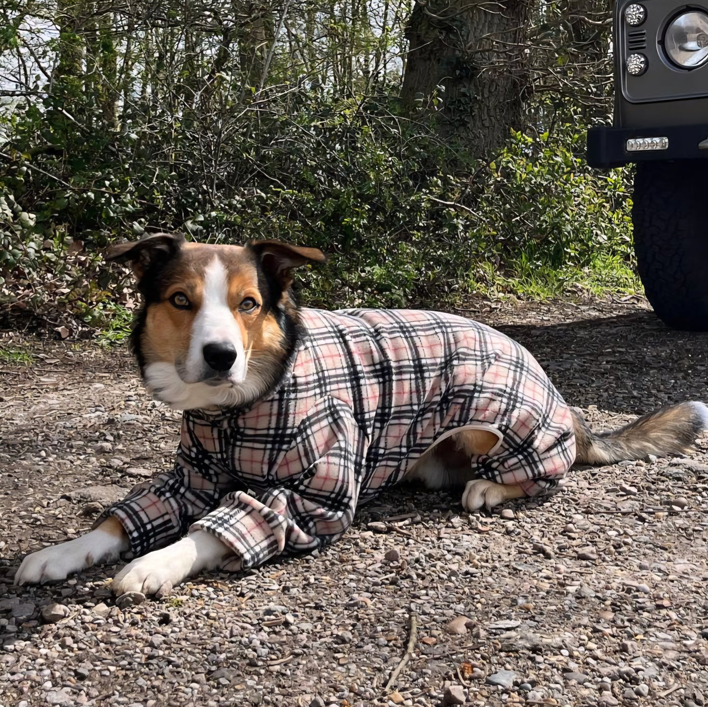 Waterproof Fleece Suit in Beige Tartan Design Also Available as a Jumper Tankie or Coat