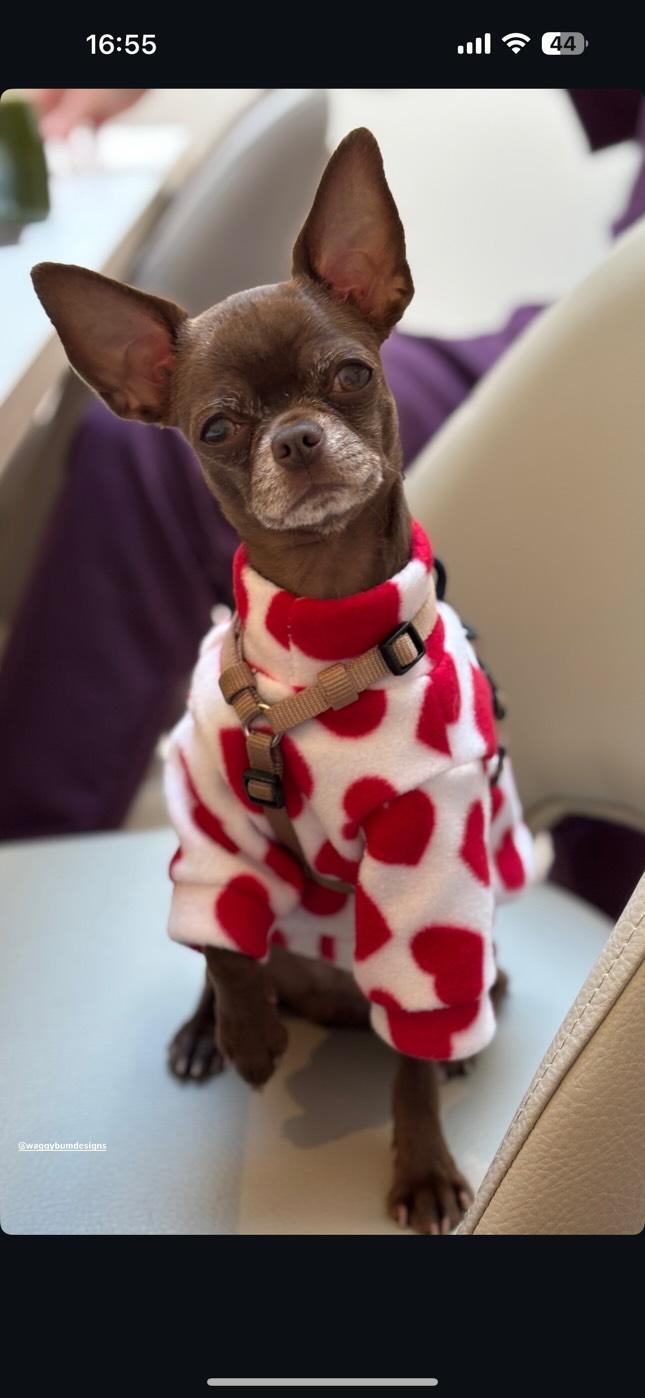 Waterproof Fleece Suit in Heart Print Design Also Available as a Jumper Tankie or Coat