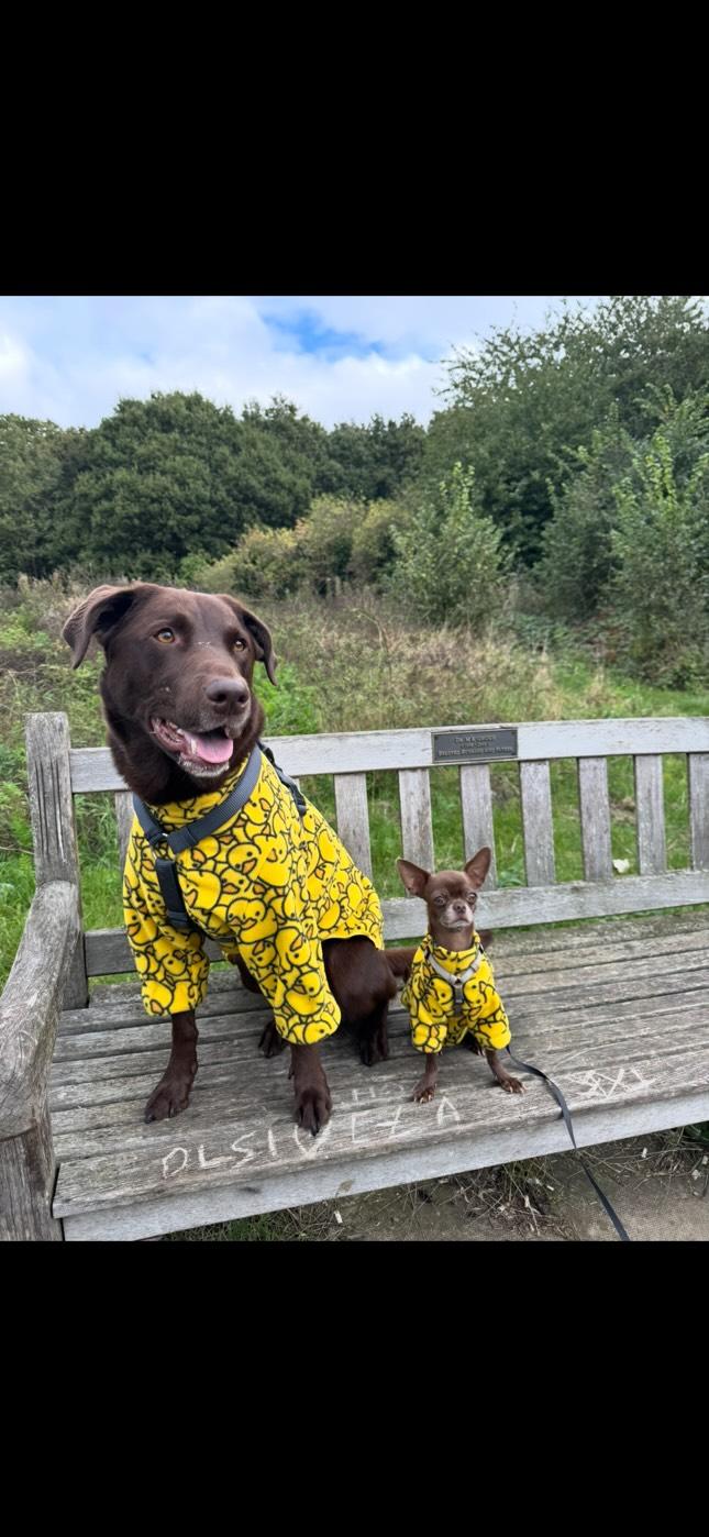 Waterproof Fleece Suit in Yellow Ducky Design Also Available as a Jumper Tankie or Coat