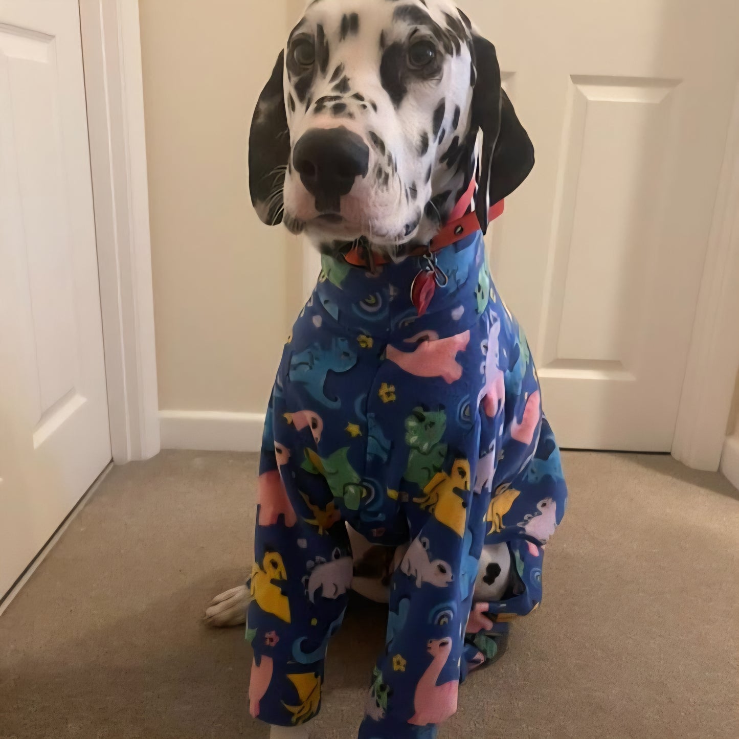 Waterproof Fleece Suit in Dinosaur Print Design Also Available as a Jumper Tankie or Coat