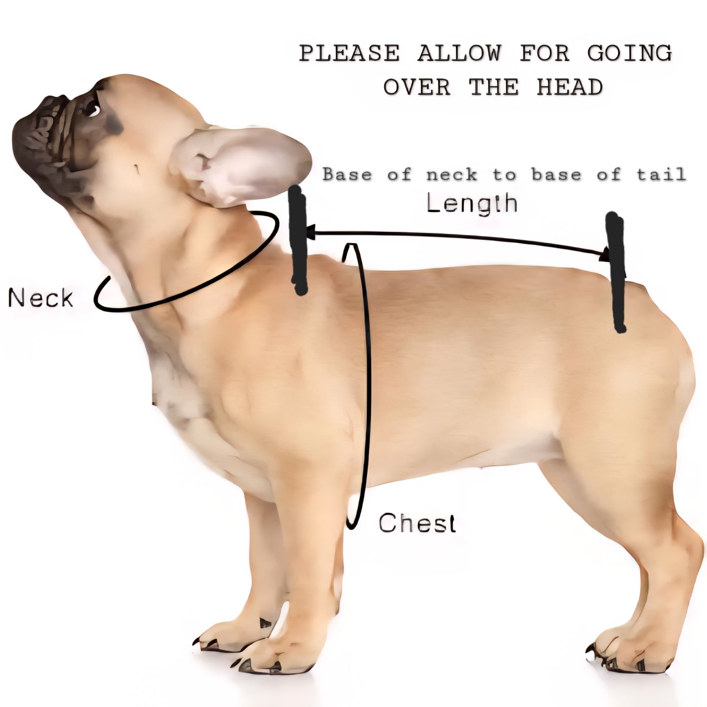 Cute Pink Sheep Design Waterproof Fleece Suit Also Available as a Jumper or Coat