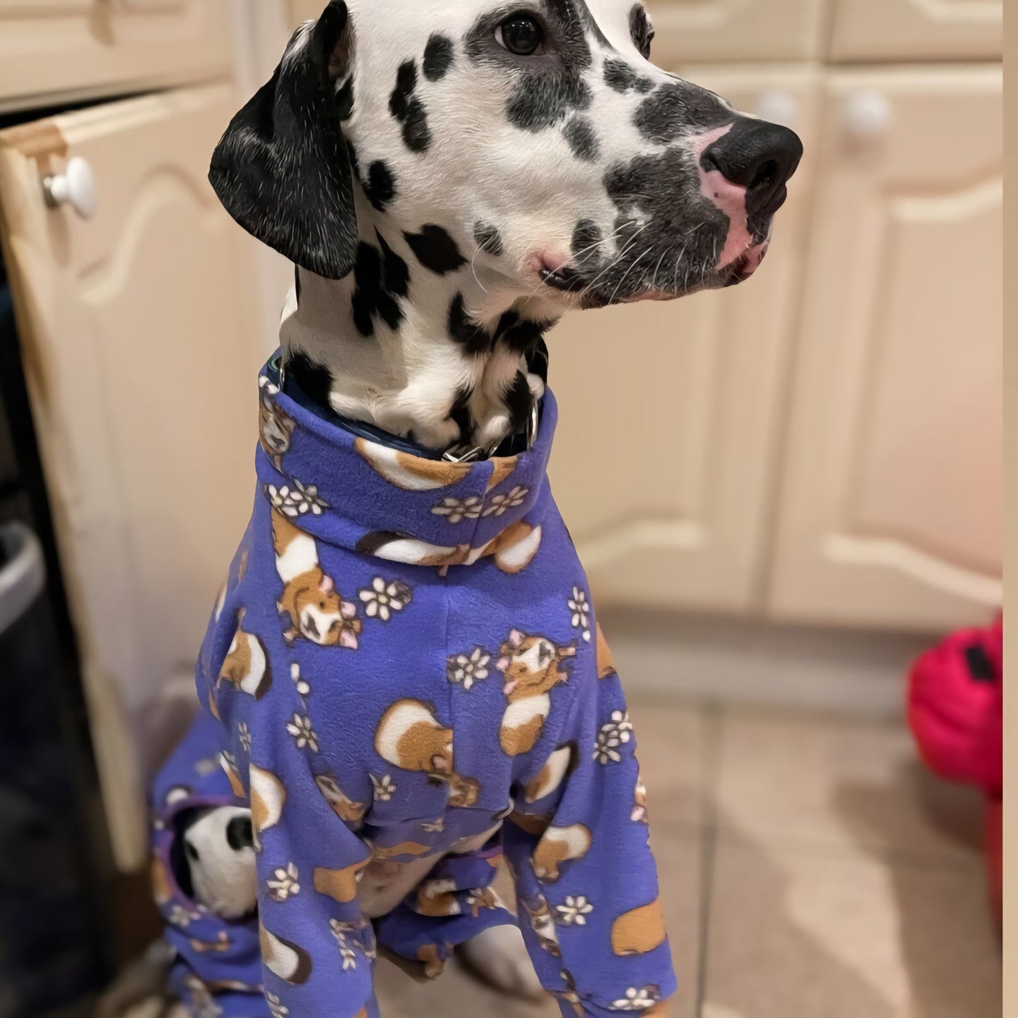 Waterproof Fleece Suit in Guinea Pig Print Design Also Available as a Jumper Tankie or Coat