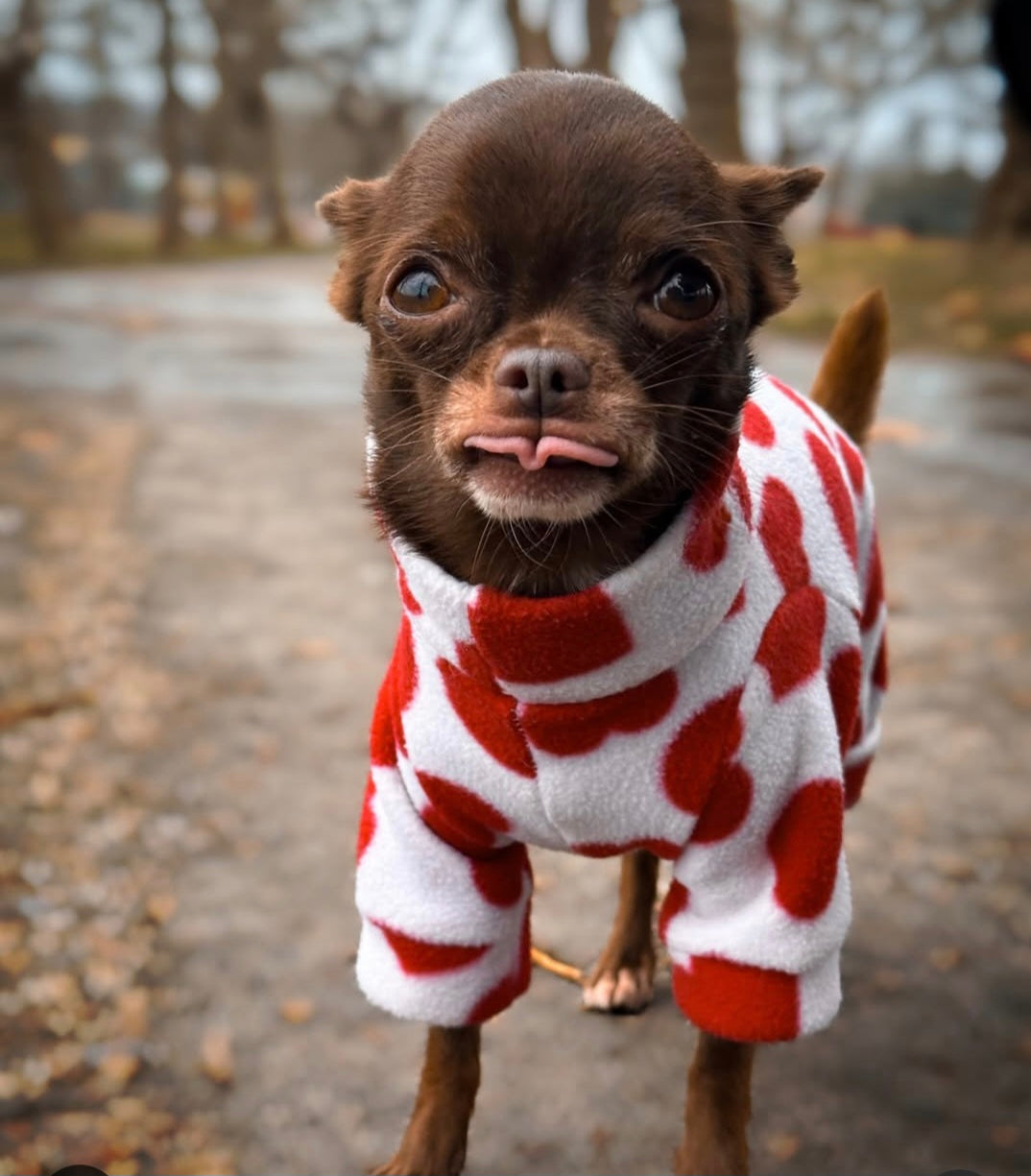 Waterproof Fleece Suit in Heart Print Design Also Available as a Jumper Tankie or Coat