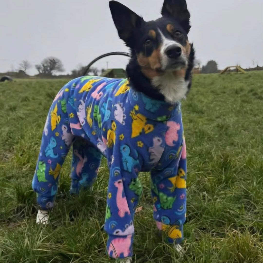 Waterproof Fleece Suit in Dinosaur Print Design Also Available as a Jumper Tankie or Coat