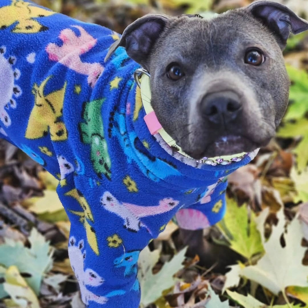 Waterproof Fleece Suit in Dinosaur Print Design Also Available as a Jumper Tankie or Coat