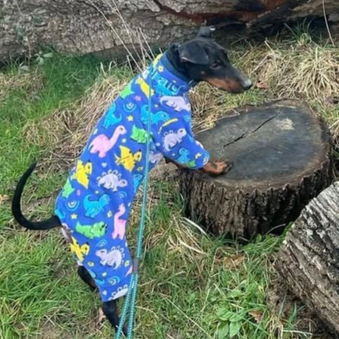 Waterproof Fleece Suit in Dinosaur Print Design Also Available as a Jumper Tankie or Coat