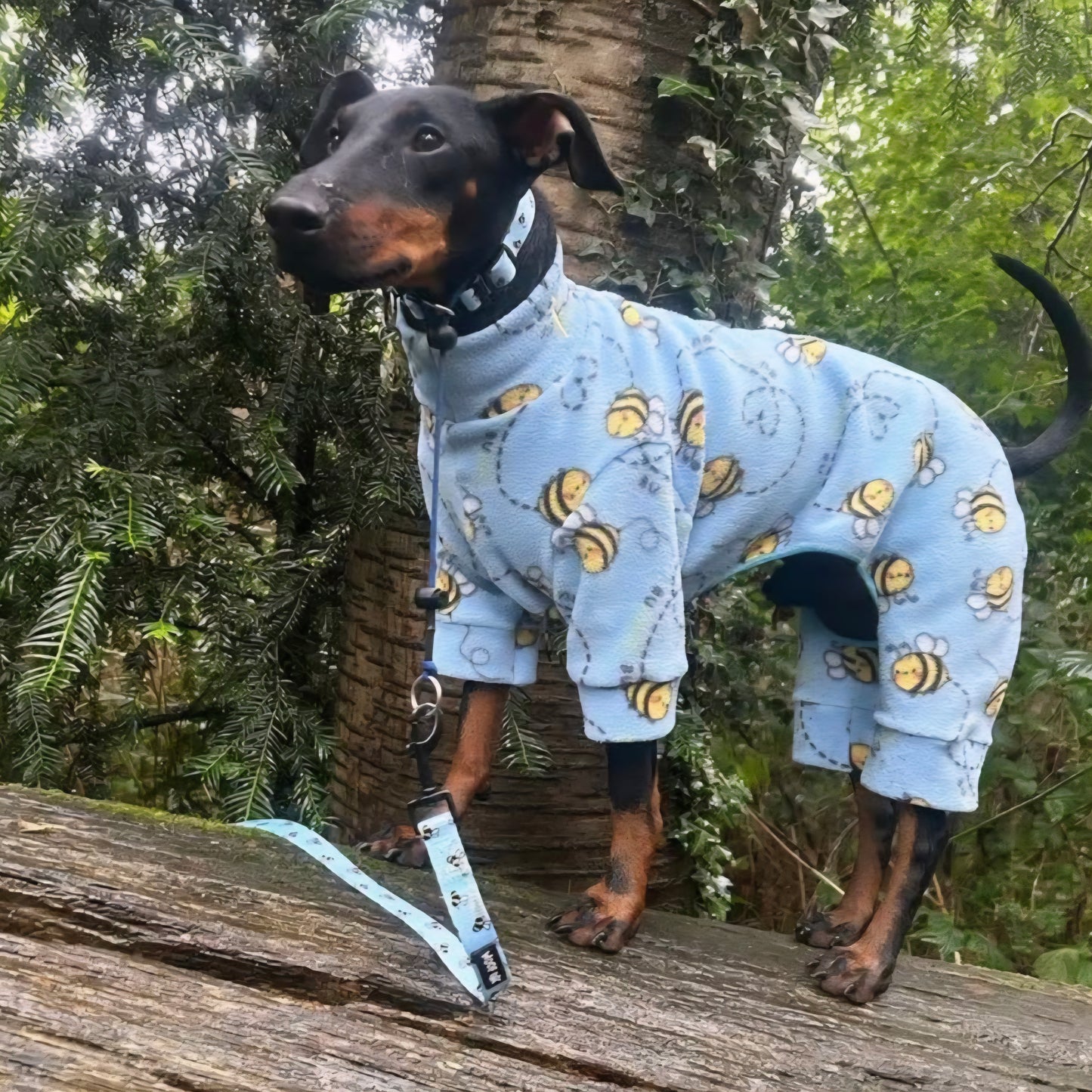 Waterproof Fleece Suit in Bee Print Design Also Available as a Jumper Tankie or Coat
