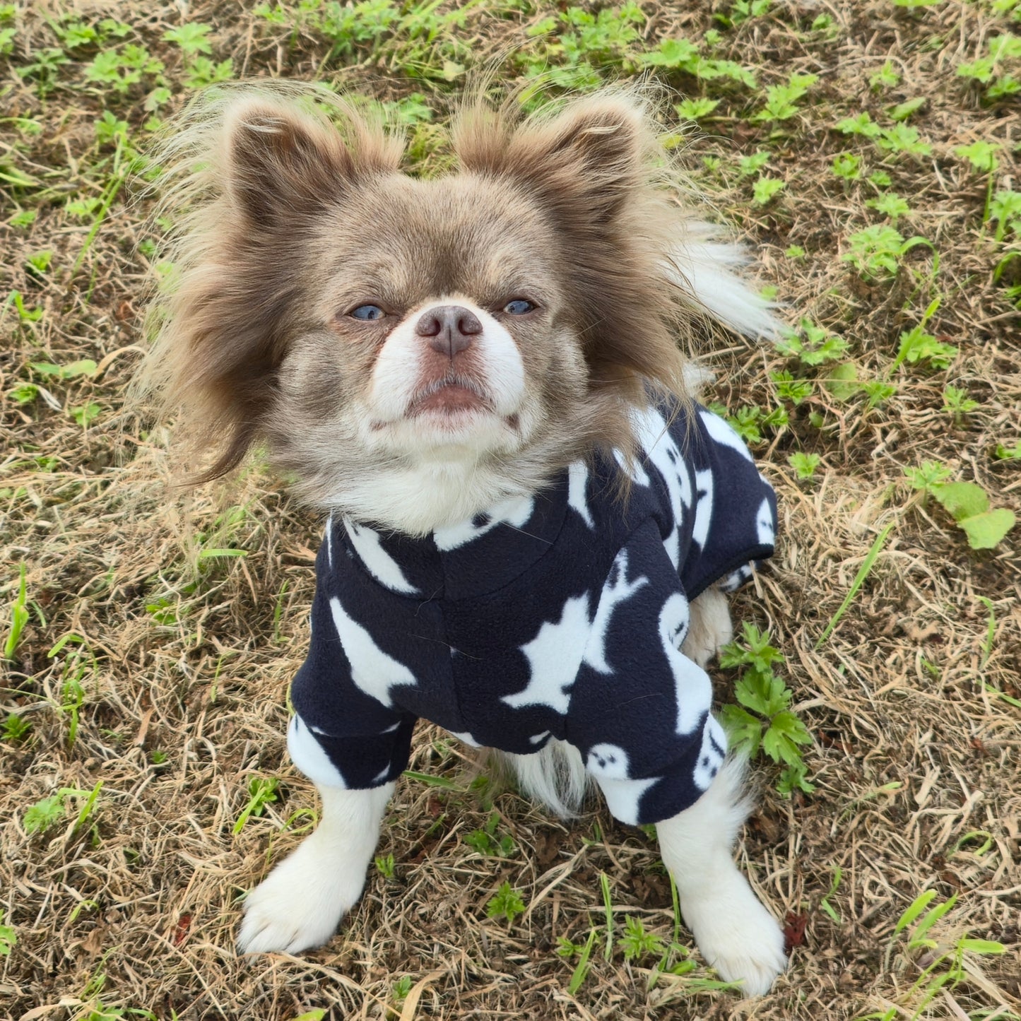 Waterproof Fleece Suit in Black Halloween Ghost Design Also Available as a Jumper Tankie or Coat