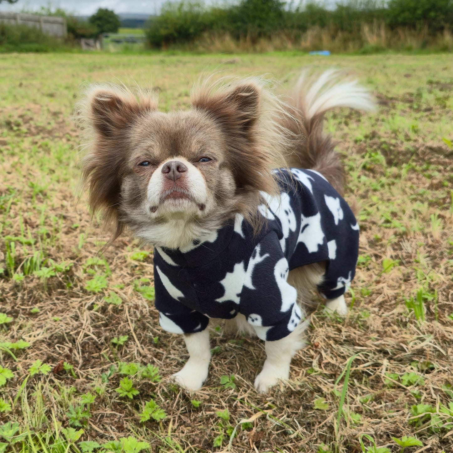 Waterproof Fleece Suit in Black Halloween Ghost Design Also Available as a Jumper Tankie or Coat