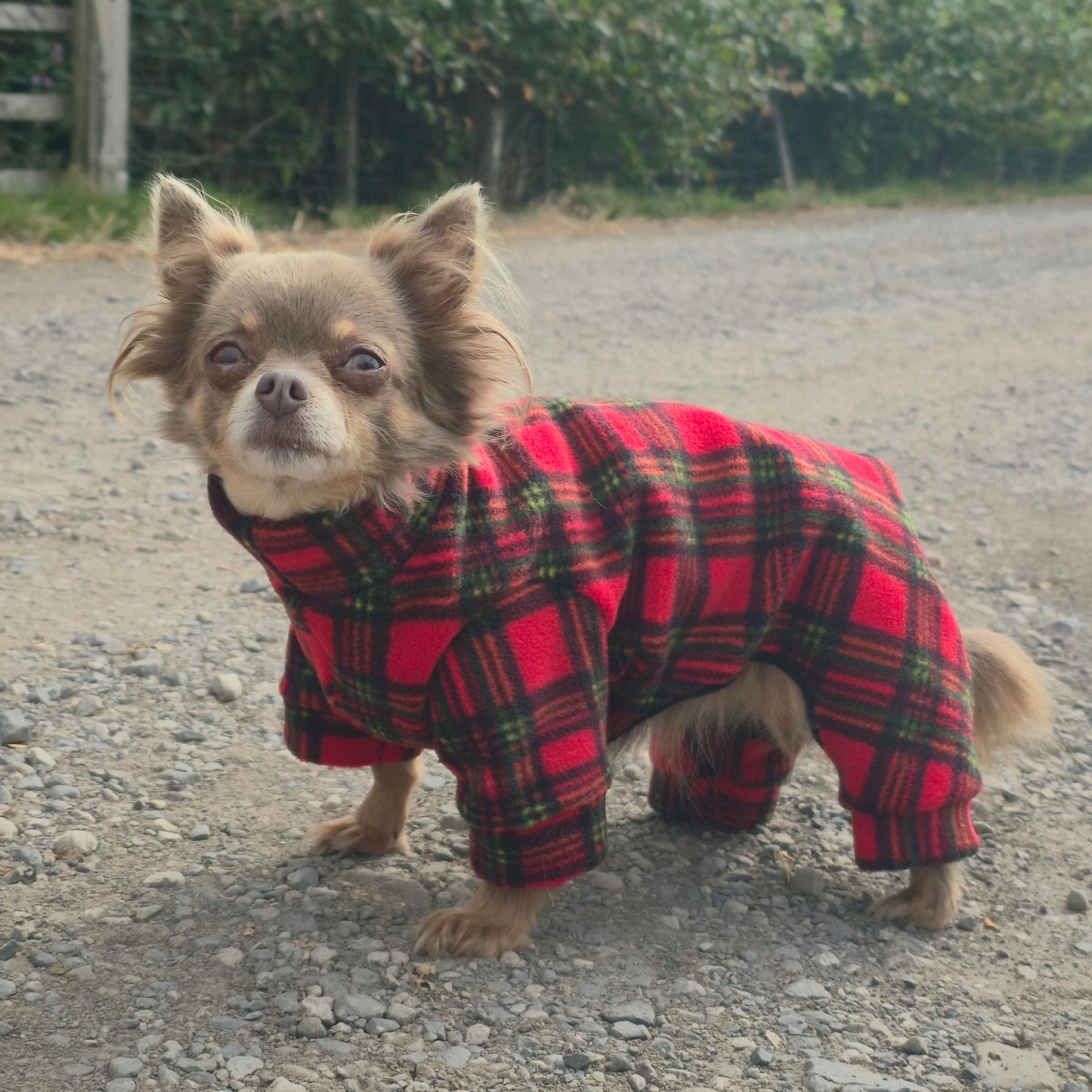 Christmas Tartan Waterproof Fleece Suit Also Available as a Jumper Tankie or Coat