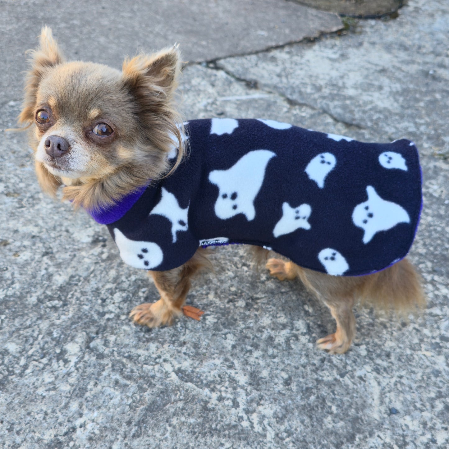 Waterproof Fleece Dog Coat DOUBLE Thickness Halloween Ghost Print Design