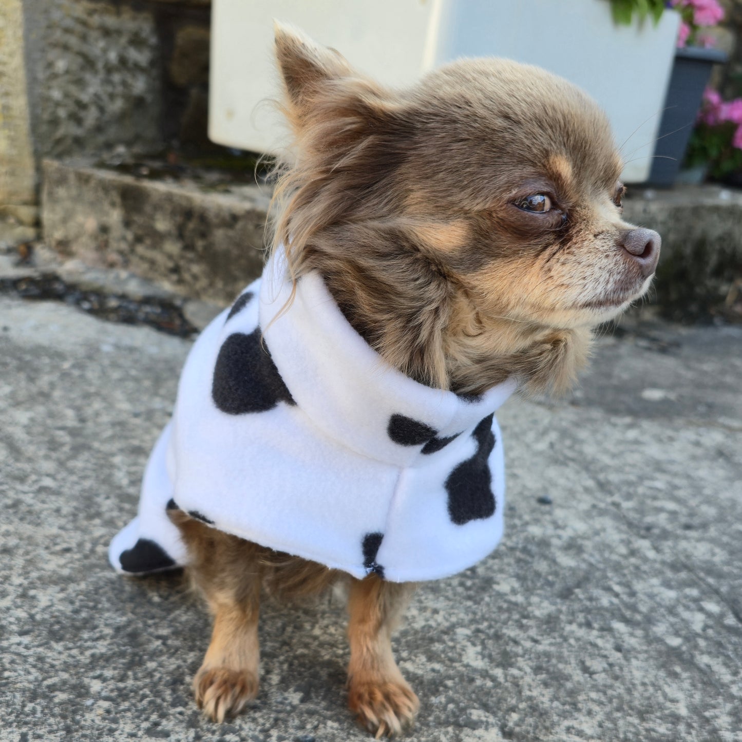 Waterproof Fleece Dog Coat DOUBLE Thickness Cow Print Design