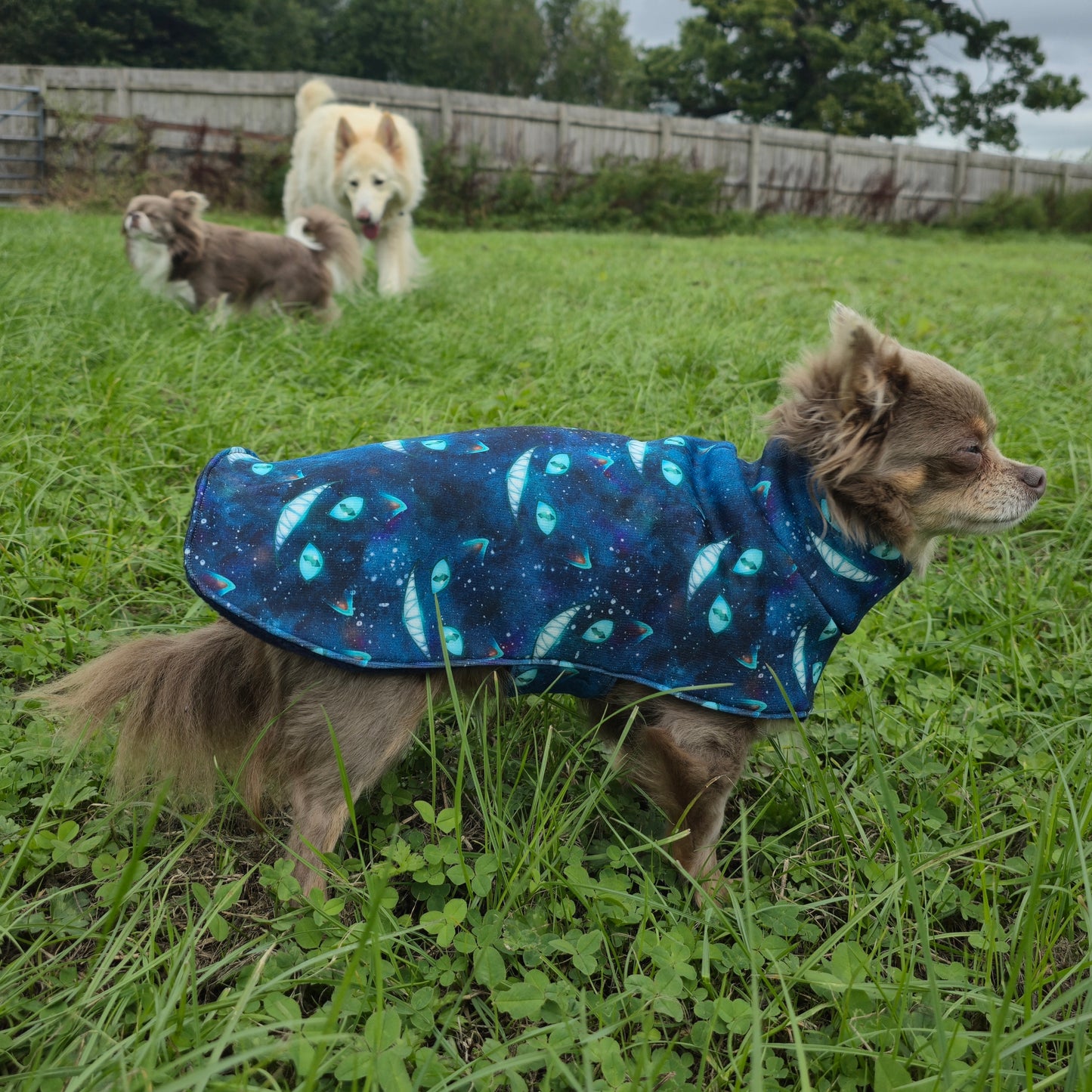 Waterproof Sofshell & Fleece Dog Coat DOUBLE Thickness  'Cheshire Cat' Style Print Design