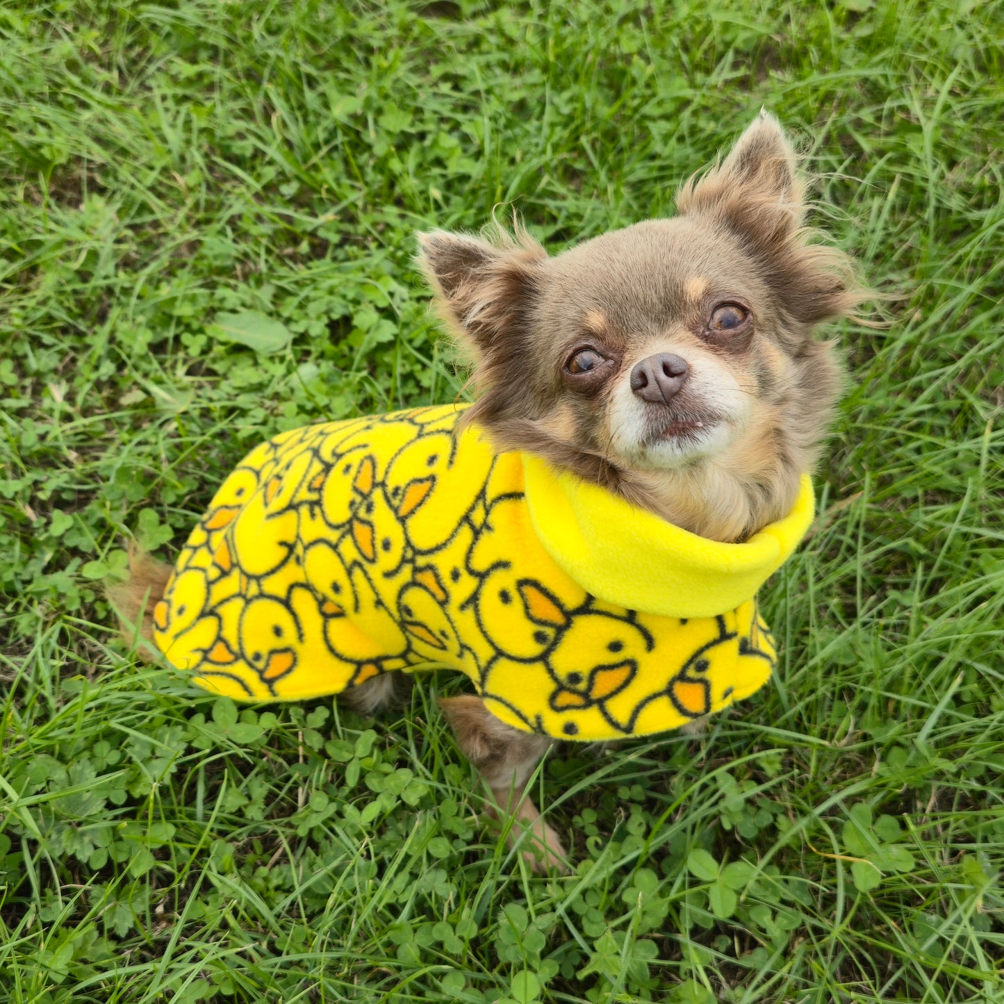 Waterproof Fleece Dog Coat DOUBLE Thickness Rubber Duck Print Design