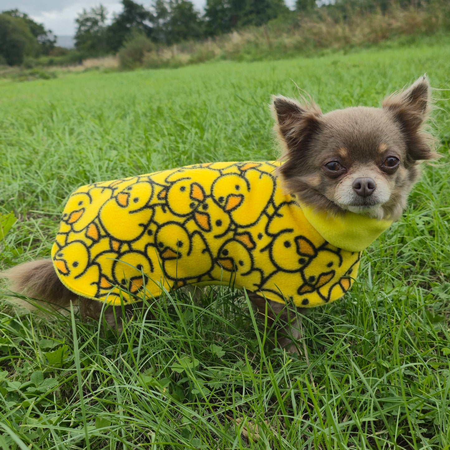 Waterproof Fleece Dog Coat DOUBLE Thickness Rubber Duck Print Design