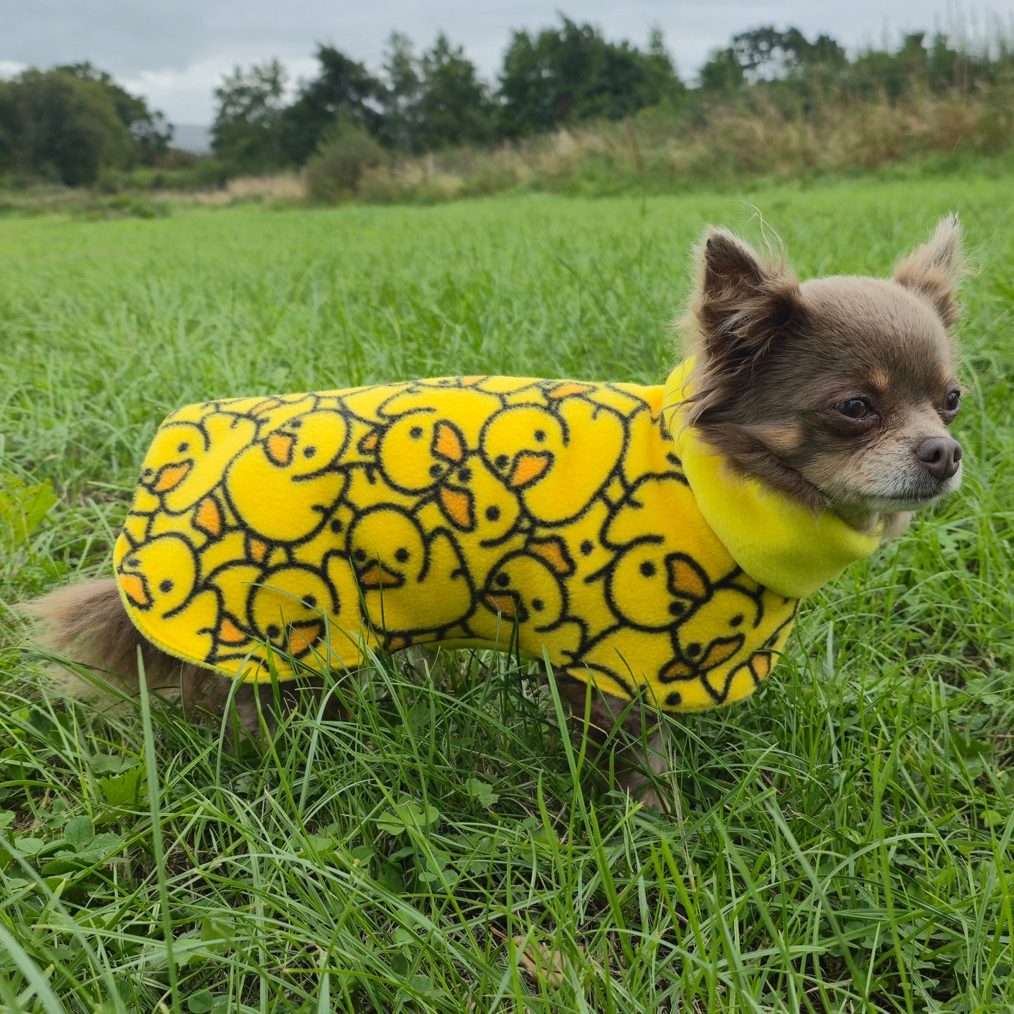 Waterproof Fleece Dog Coat DOUBLE Thickness Rubber Duck Print Design