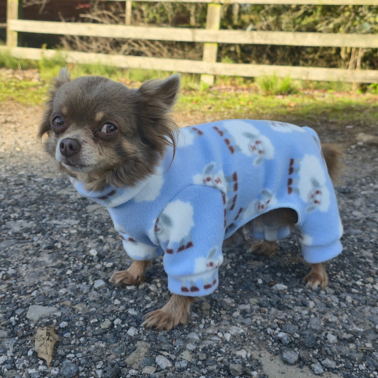 Cute Sheep Design Waterproof Fleece Suit Also Available as a Jumper or Coat