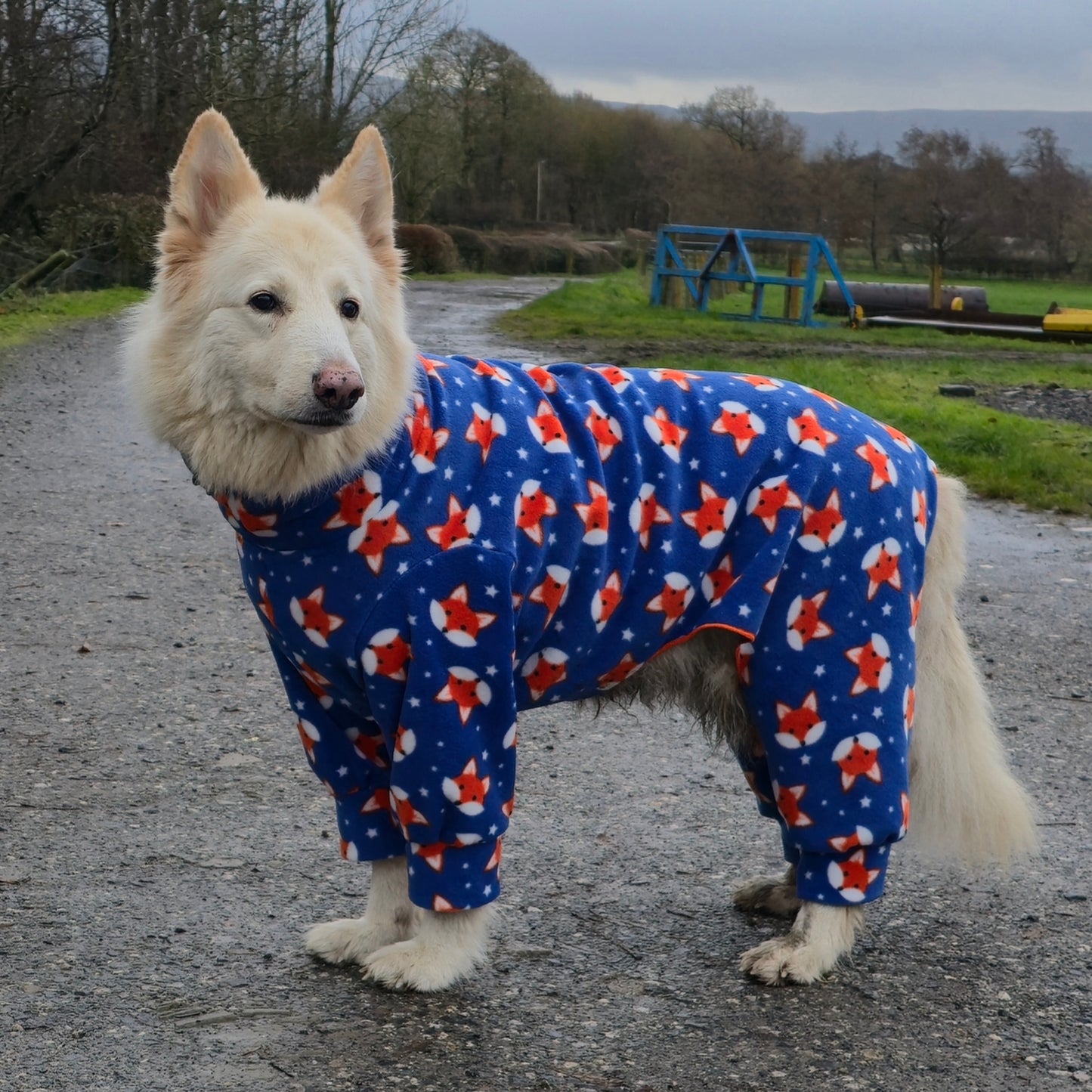 Waterproof Fleece Suit in Cute Fox Design Also Available as a Jumper or Coat