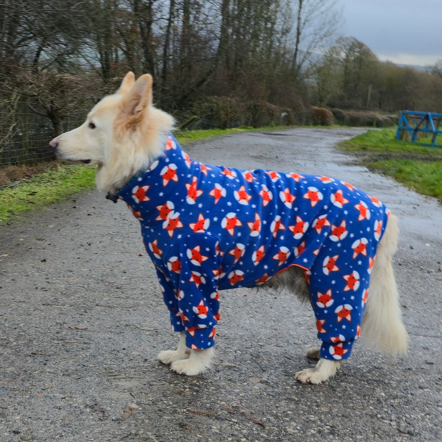 Waterproof Fleece Suit in Cute Fox Design Also Available as a Jumper or Coat