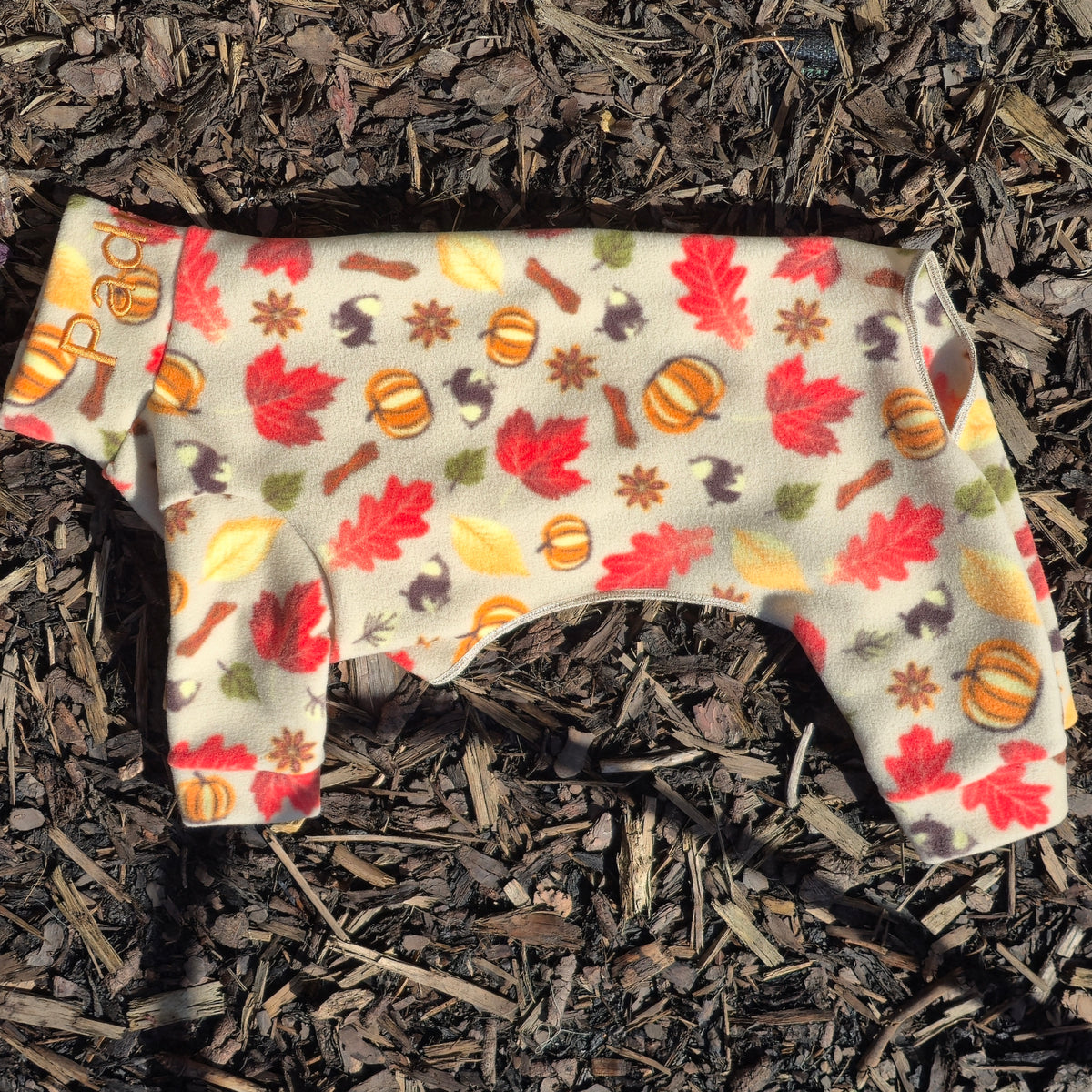 Waterproof Fleece Suit in Autumn Fall Pumpkin Leaf Bright Print Design Also Available as a Jumper or Coat