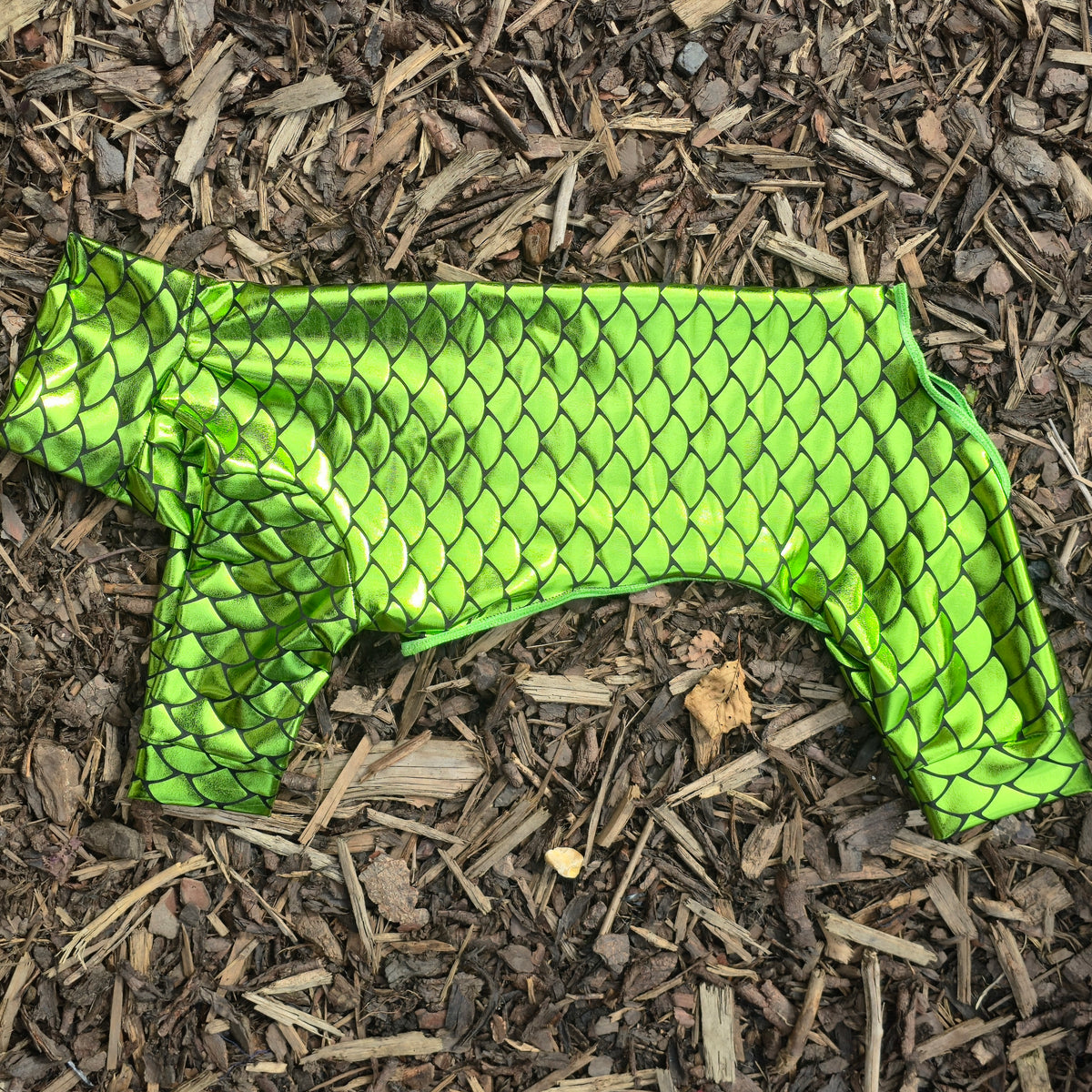 Metallic Scales Suit in Green Print Design Also Available as a Jumper or Coat 'Hear Me ROAR' Range