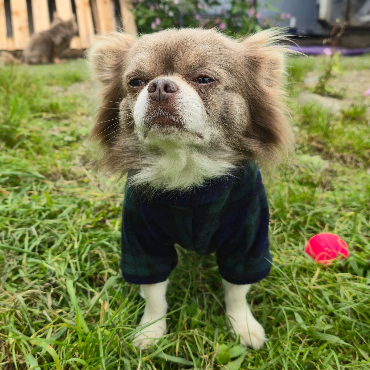 Waterproof Fleece Suit in Black Watch Blue Green Tartan Print Design Also Available as a Jumper or Coat