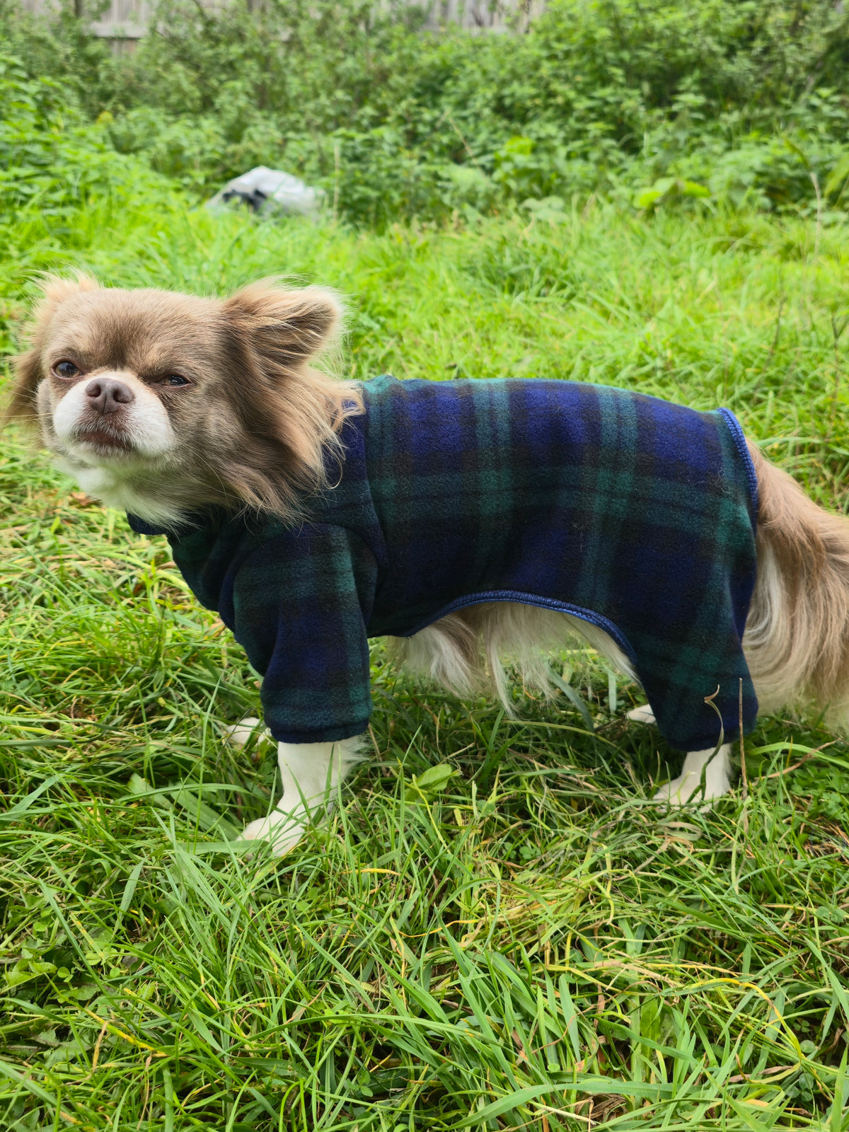 Waterproof Fleece Suit in Black Watch Blue Green Tartan Print Design Also Available as a Jumper or Coat