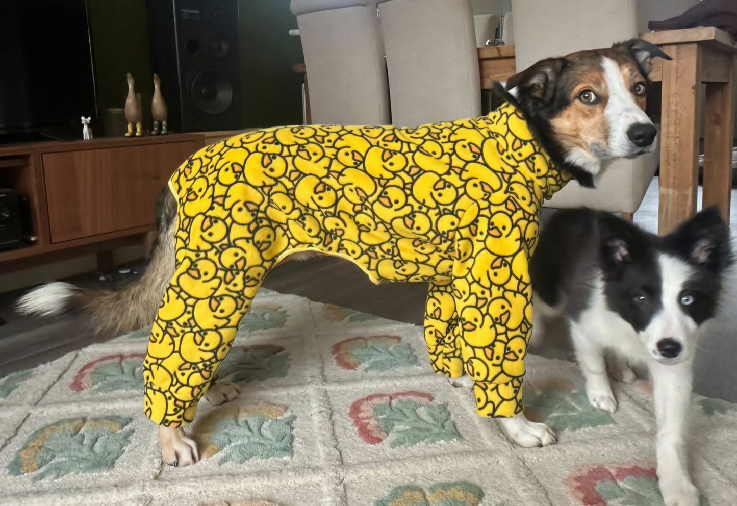 Waterproof Fleece Suit in Yellow Ducky Design Also Available as a Jumper Tankie or Coat