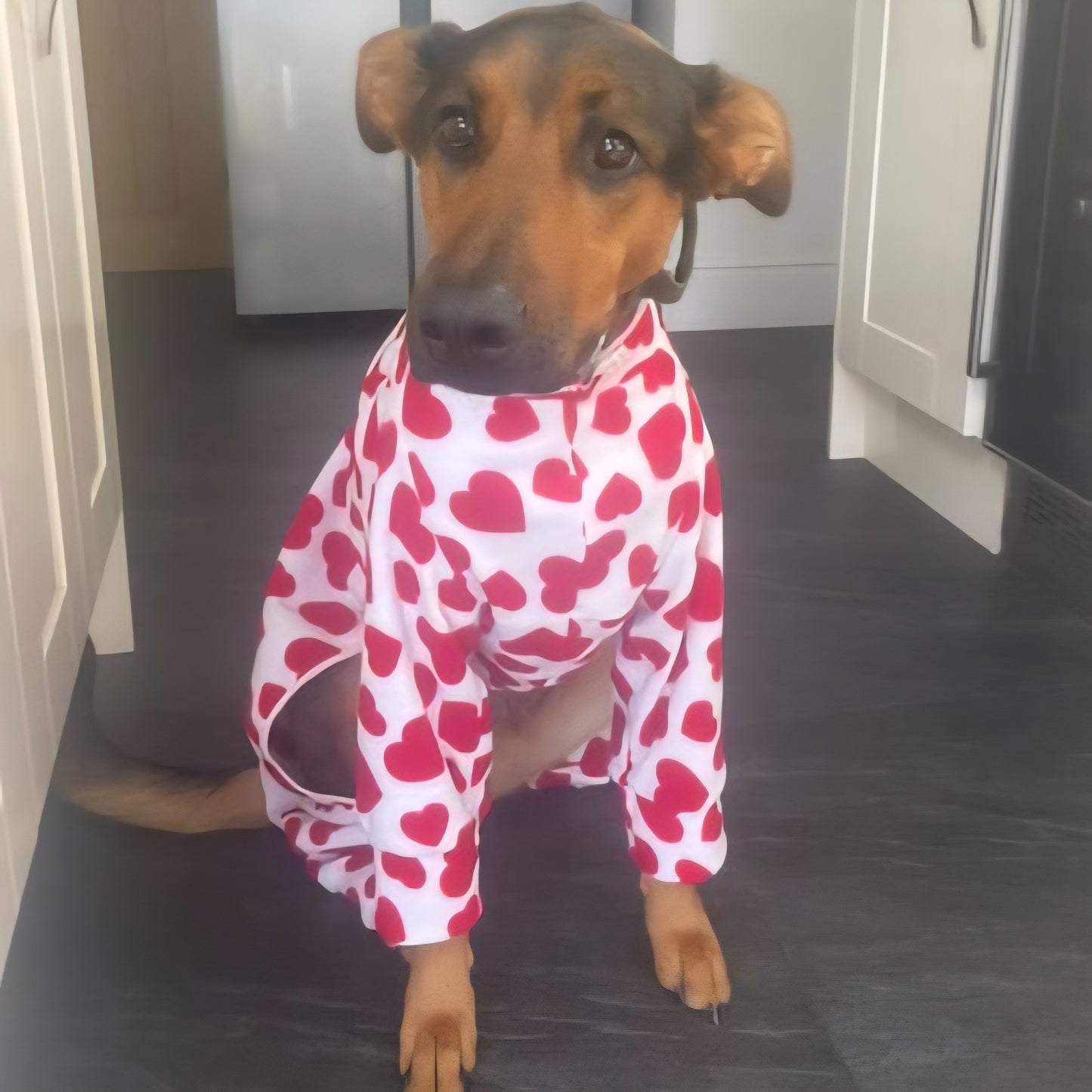 Waterproof Fleece Suit in Heart Print Design Also Available as a Jumper  Tankie or Coat