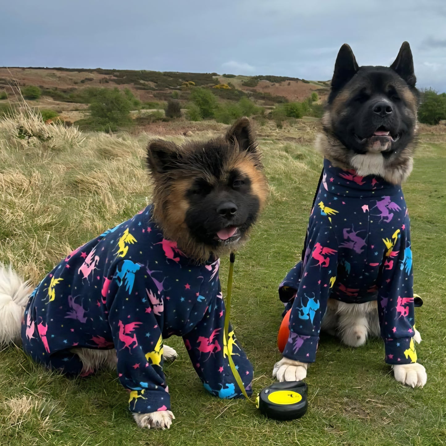 Waterproof Fleece Suit in Blue Rainbow Unicorn Design Also Available as a Jumper Tankie or Coat