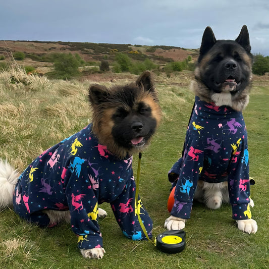 Waterproof Fleece Suit in Blue Rainbow Unicorn Design Also Available as a Jumper Tankie or Coat
