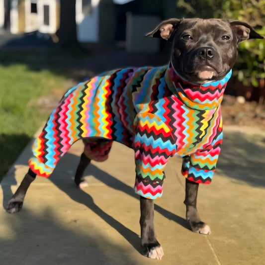 Waterproof Fleece Suit in Bright Zig Zag Print Design Also Available as a Jumper or Coat