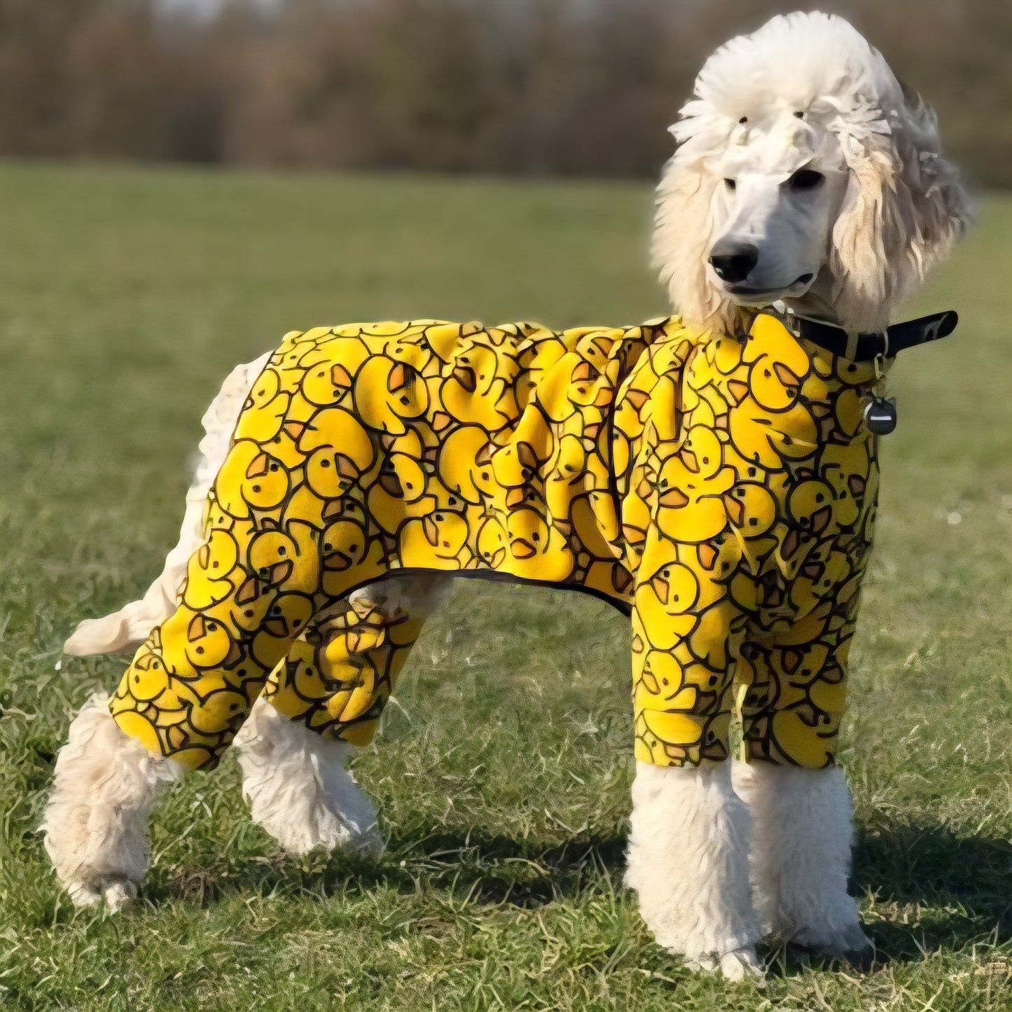 Waterproof Fleece Suit in Yellow Ducky Design Also Available as a Jumper Tankie or Coat