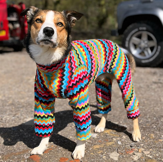 Waterproof Fleece Suit in Bright Zig Zag Print Design Also Available as a Jumper Tankie or Coat