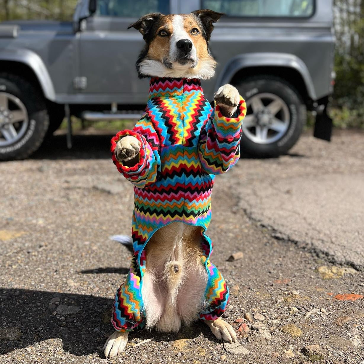Waterproof Fleece Suit in Bright Zig Zag Print Design Also Available as a Jumper Tankie or Coat