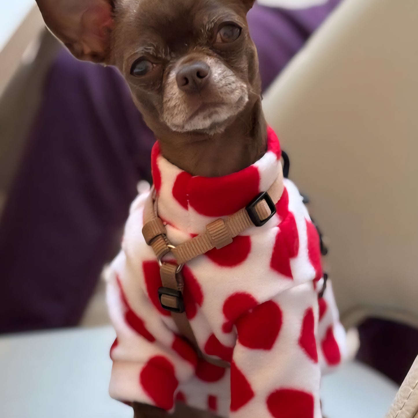 Waterproof Fleece Suit in Heart Print Design Also Available as a Jumper  Tankie or Coat