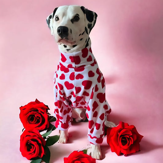Waterproof Fleece Suit in Heart Print Design Also Available as a Jumper Tankie or Coat