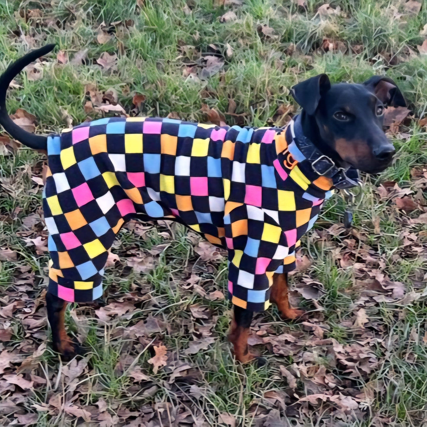 Waterproof Fleece Suit in Liquorice Allsorts Print Design Also Available as a Jumper Tankie or Coat