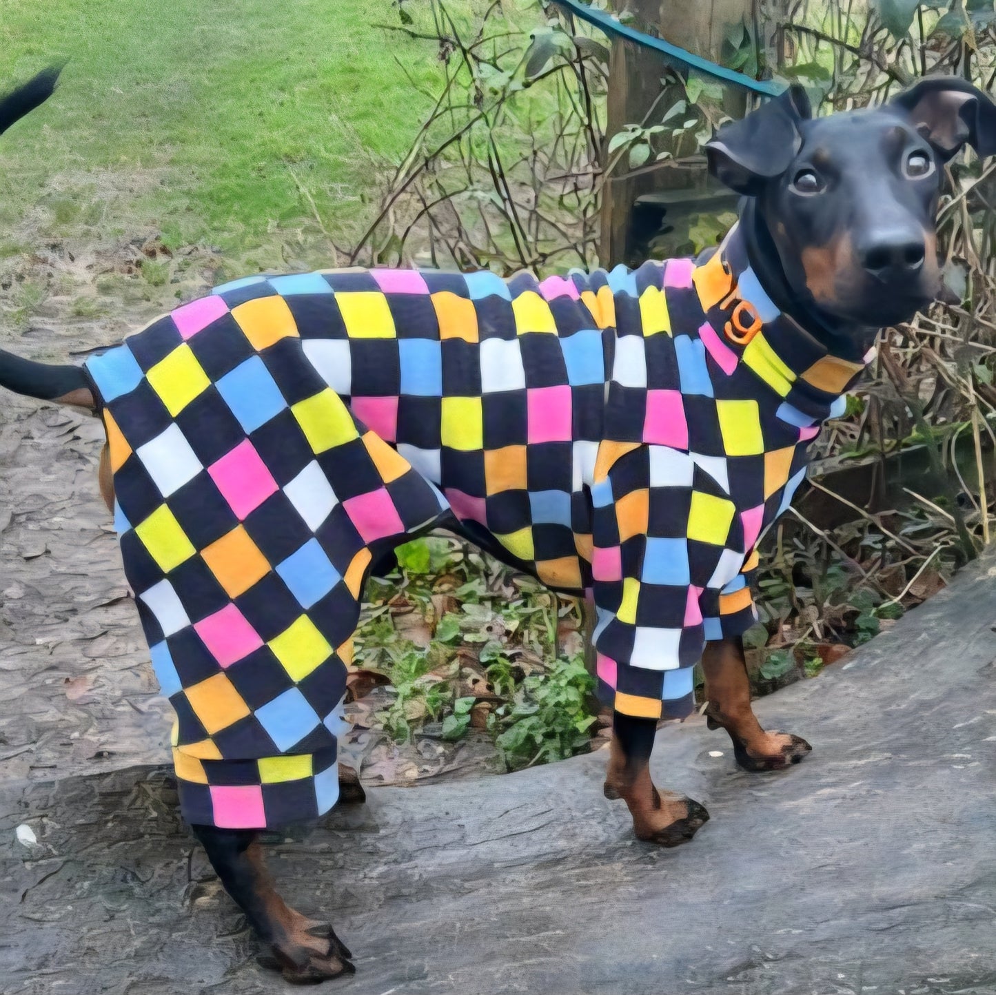 Waterproof Fleece Suit in Liquorice Allsorts Print Design Also Available as a Jumper Tankie or Coat
