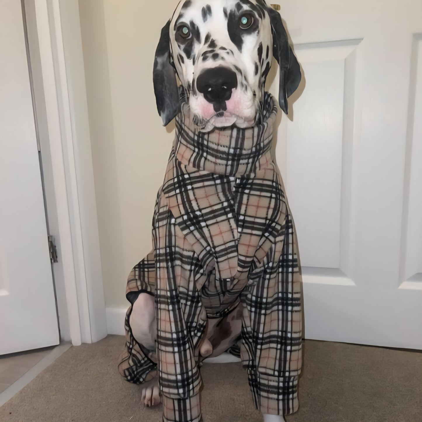Waterproof Fleece Suit in Beige Tartan Design Also Available as a Jumper Tankie or Coat