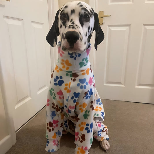 Waterproof Fleece Suit in White Rainbow Paw Print Design Also Available as a Jumper Tankie or Coat