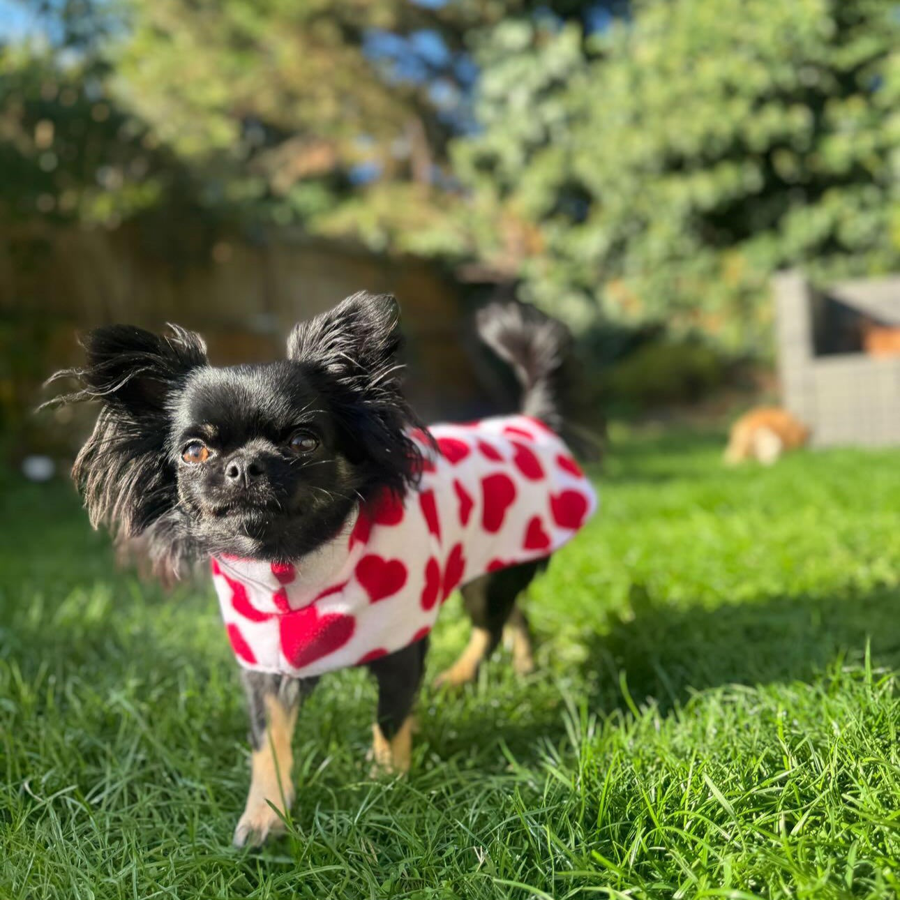 Waterproof Fleece Dog Coat DOUBLE Thickness Heart Print Design