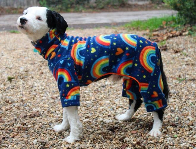 Rainbow Design Waterproof Fleece Suit Also Available as a Jumper or Coat